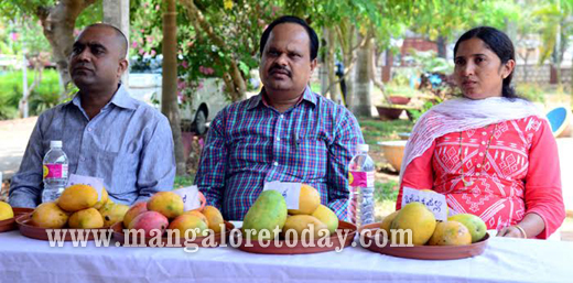 Jackfruit fest
